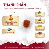  Kẹo mật ong giảm ho TranzAlpine Manuka Honey Drops MGO550+ (8 viên/ 25 viên) 