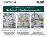  Dầu gội giảm gàu, làm dịu da đầu Aromase 5α Juniper MediPRO Simply Fresh Shampoo 80ml 