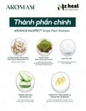 Dầu gội giảm gàu, làm dịu da đầu Aromase 5α Juniper MediPRO Simply Fresh Shampoo 80ml 