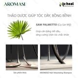  Dầu gội mọc tóc, giảm gãy rụng Aromase Hair Volumizing Shampoo 90ml 