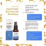  Xịt họng keo ong Organic Propolis Throat Spray with Manuka Honey MGO650+ 