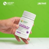  Men uống kiểm soát nấm Candida Aotearoa Vitality CanZida Pro 30 viên 
