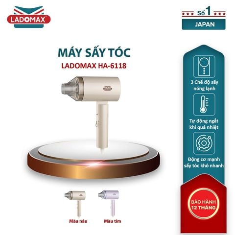 Máy sấy tóc Ladomax HA-6118