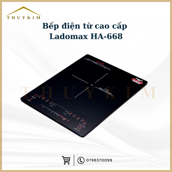 Bếp điện từ cao cấp Ladomax HA-668