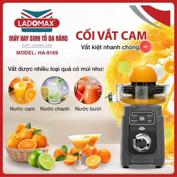 Máy xay sinh tố đa năng Ladomax HA-9169 | 4 cối say sinh tố, say thịt, vắt cam, say khô