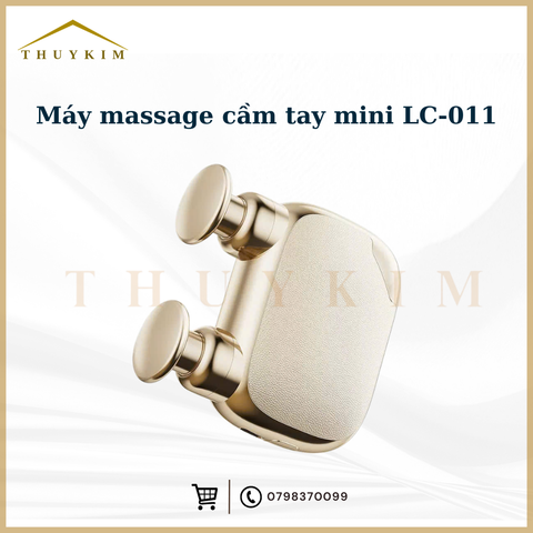 Máy massage cầm tay mini LC-011