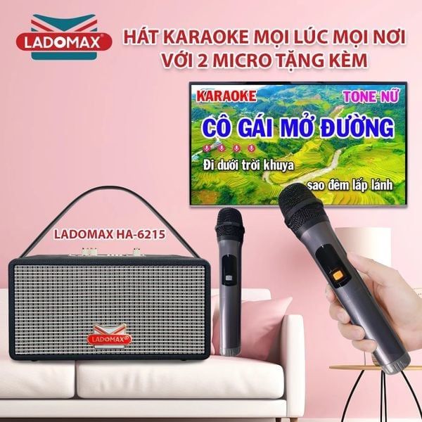 Loa Karaoke xách tay cao cấp Ladomax HA-6215