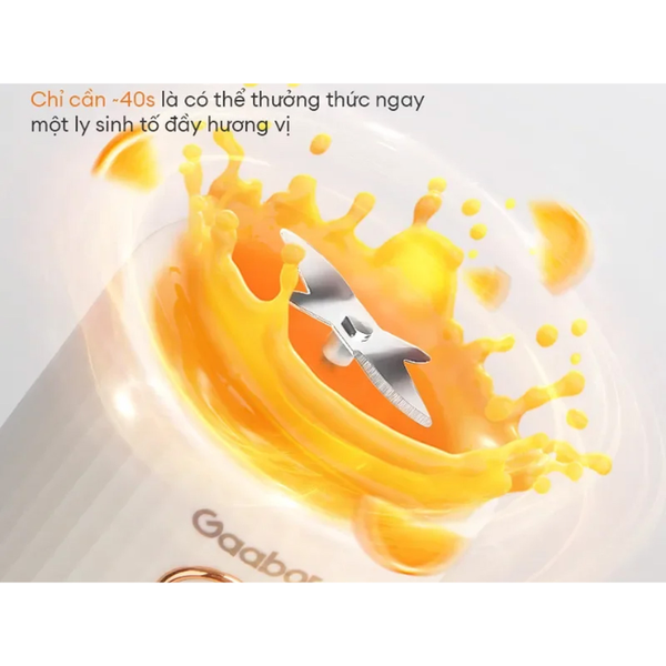 Máy xay sinh tố Gaabor FP03T WH01A