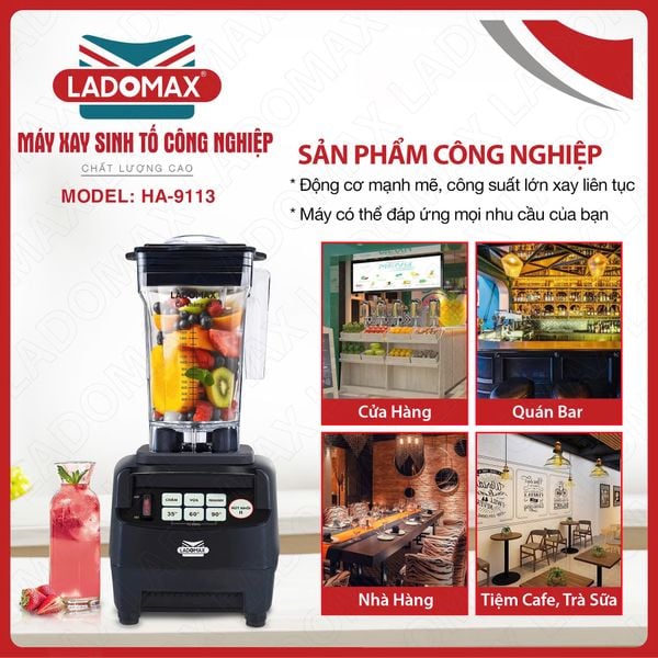 Máy xay sinh tố công nghiệp Ladomax HA-9113