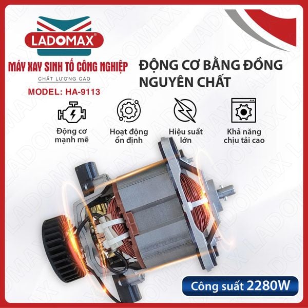 Máy xay sinh tố công nghiệp Ladomax HA-9113