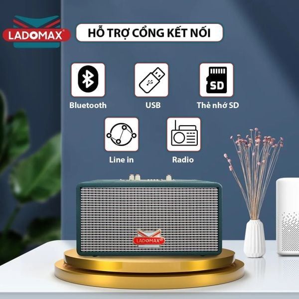 Loa Karaoke xách tay Cao Cấp Ladomax HA-6210
