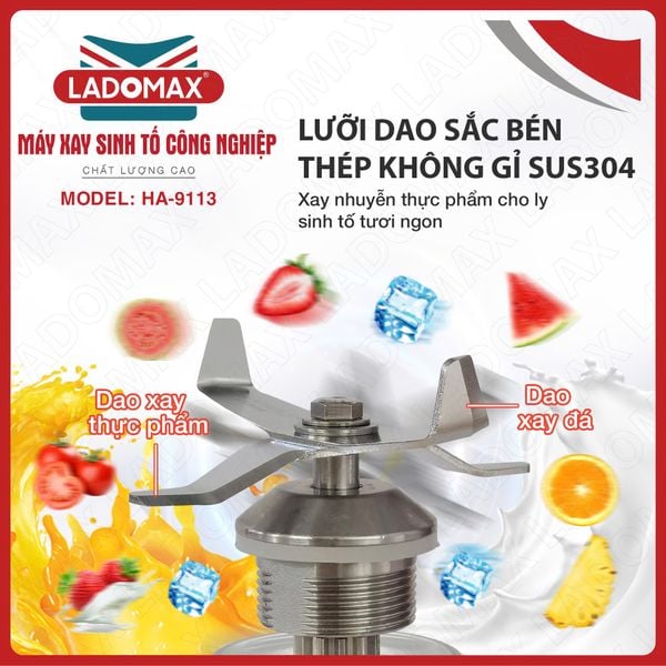 Máy xay sinh tố công nghiệp Ladomax HA-9113