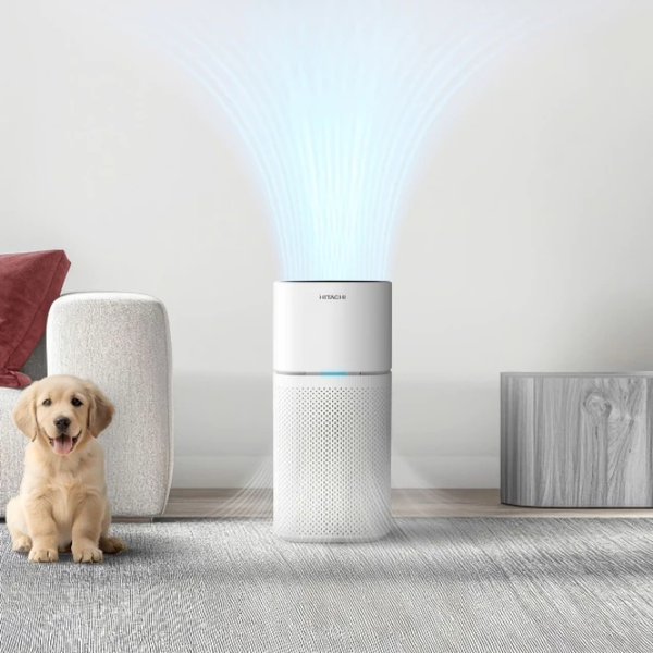 Máy lọc không khí Hitachi EP-TZ50
