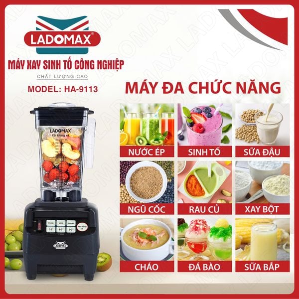Máy xay sinh tố công nghiệp Ladomax HA-9113