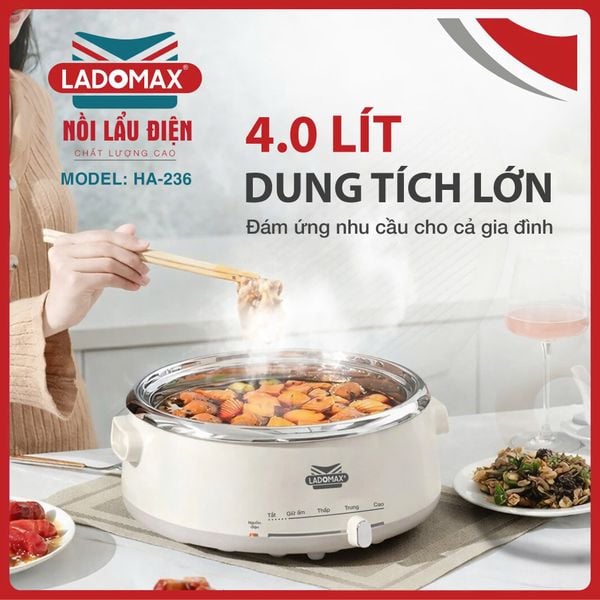 Nồi lẩu điện lòng rời Ladomax HA-236 | Dung tích 4 lít