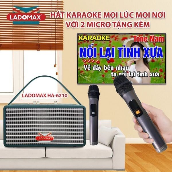 Loa Karaoke xách tay Cao Cấp Ladomax HA-6210