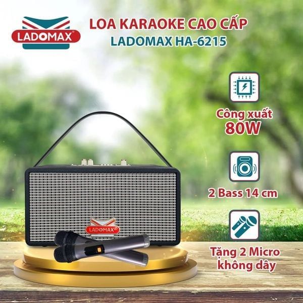 Loa Karaoke xách tay cao cấp Ladomax HA-6215