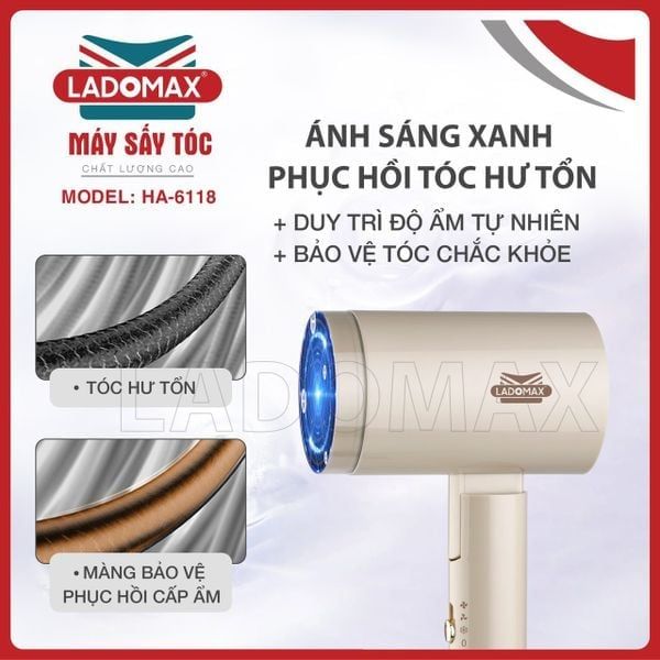 Máy sấy tóc Ladomax HA-6118