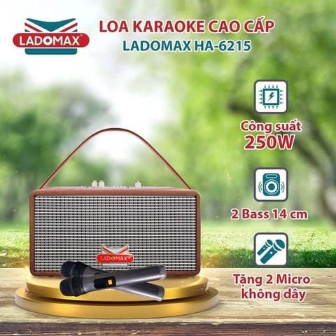 Loa Karaoke xách tay cao cấp Ladomax HA-6215