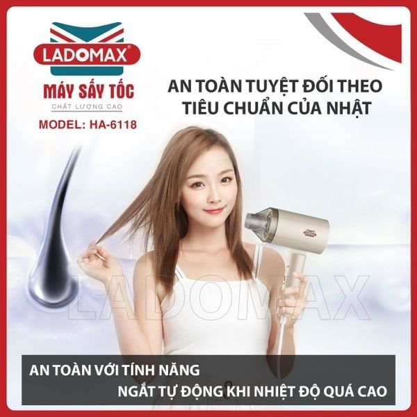 Máy sấy tóc Ladomax HA-6118