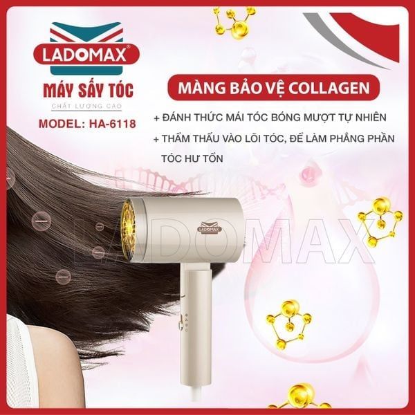 Máy sấy tóc Ladomax HA-6118