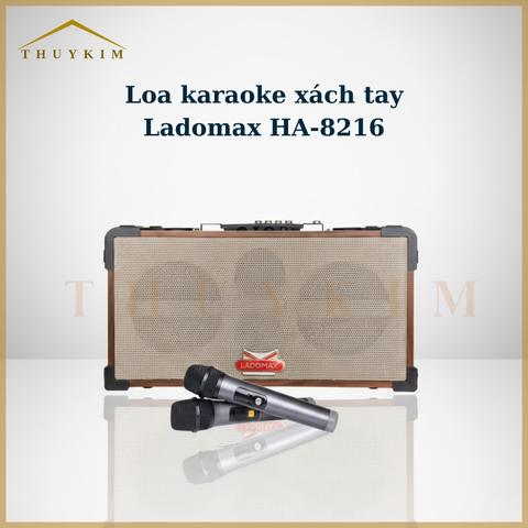 Loa Karaoke xách tay cao cấp HA-8216