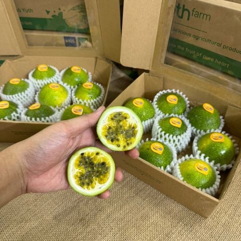  Cây giống chanh dây mật ong 