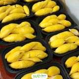  Cây giống sầu riêng Musang King 