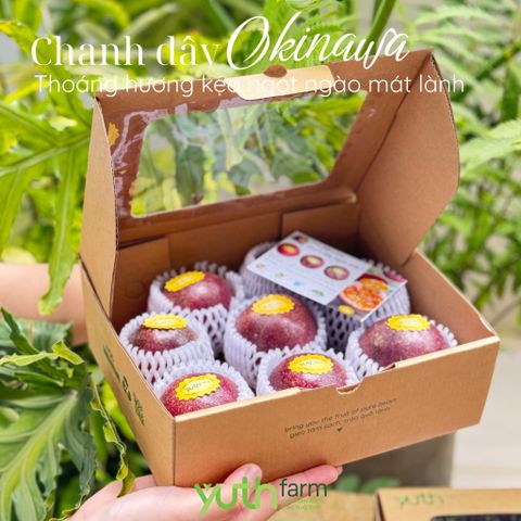  Chanh dây Okinawa 
