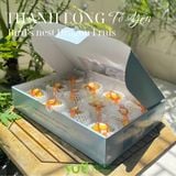  Cây giống thanh long Tổ Yến 