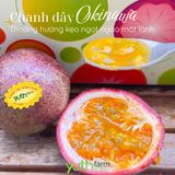  Chanh dây Yuth Farm 