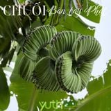  Chuối bàn tay Phật (Kg) 