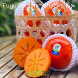  Hồng Fuyu Yuth Farm 