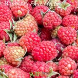  Phúc Bồn Tử (Rasberry) 