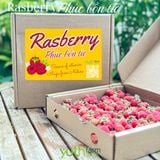  Phúc Bồn Tử (Rasberry) 