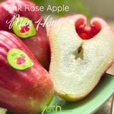  Cây giống mận Hồng MST 