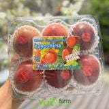  Chanh dây Kagoshima 