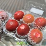  Chanh dây Kagoshima 