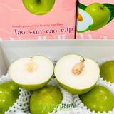  Táo sữa giống Đài Loan 