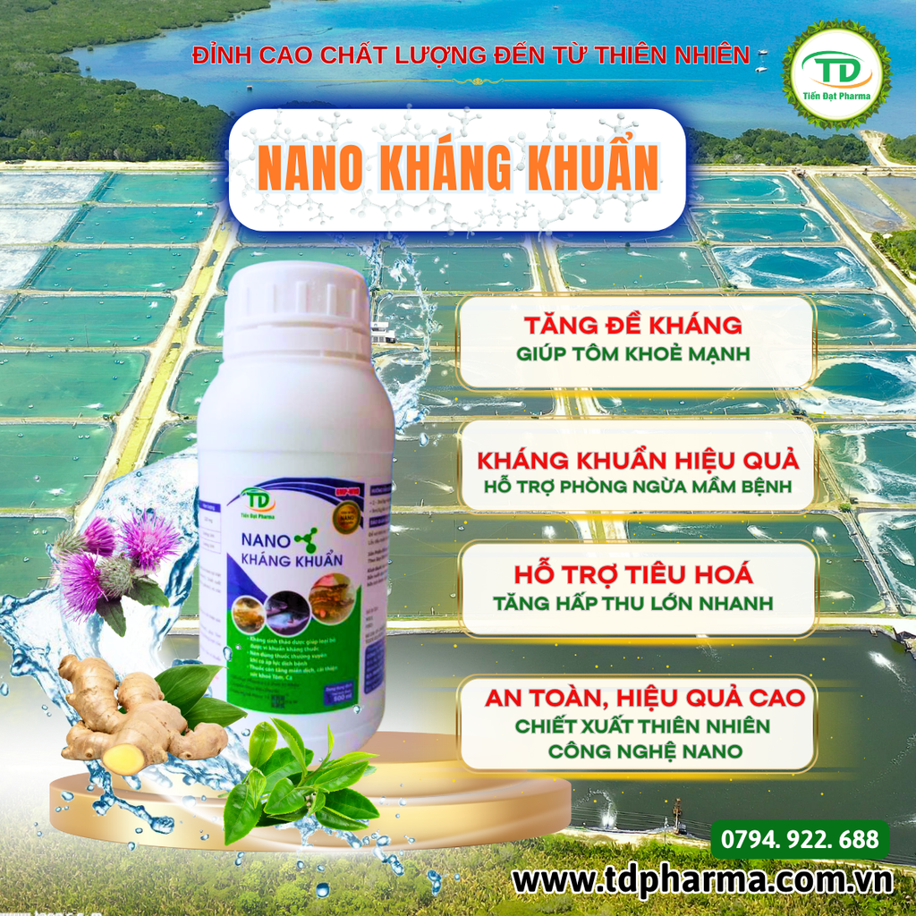NANO KHÁNG KHUẨN