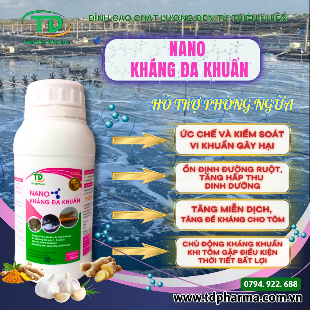 NANO KHÁNG ĐA KHUẨN