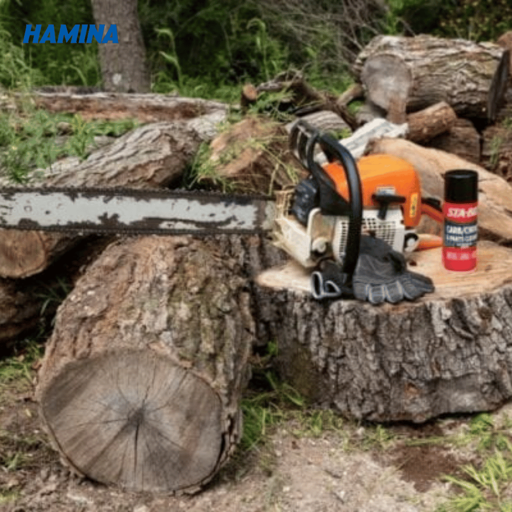  STA-BIL® Carb & Choke Cleaner - Chất Tẩy Rửa Bộ Chế Hòa Khí 