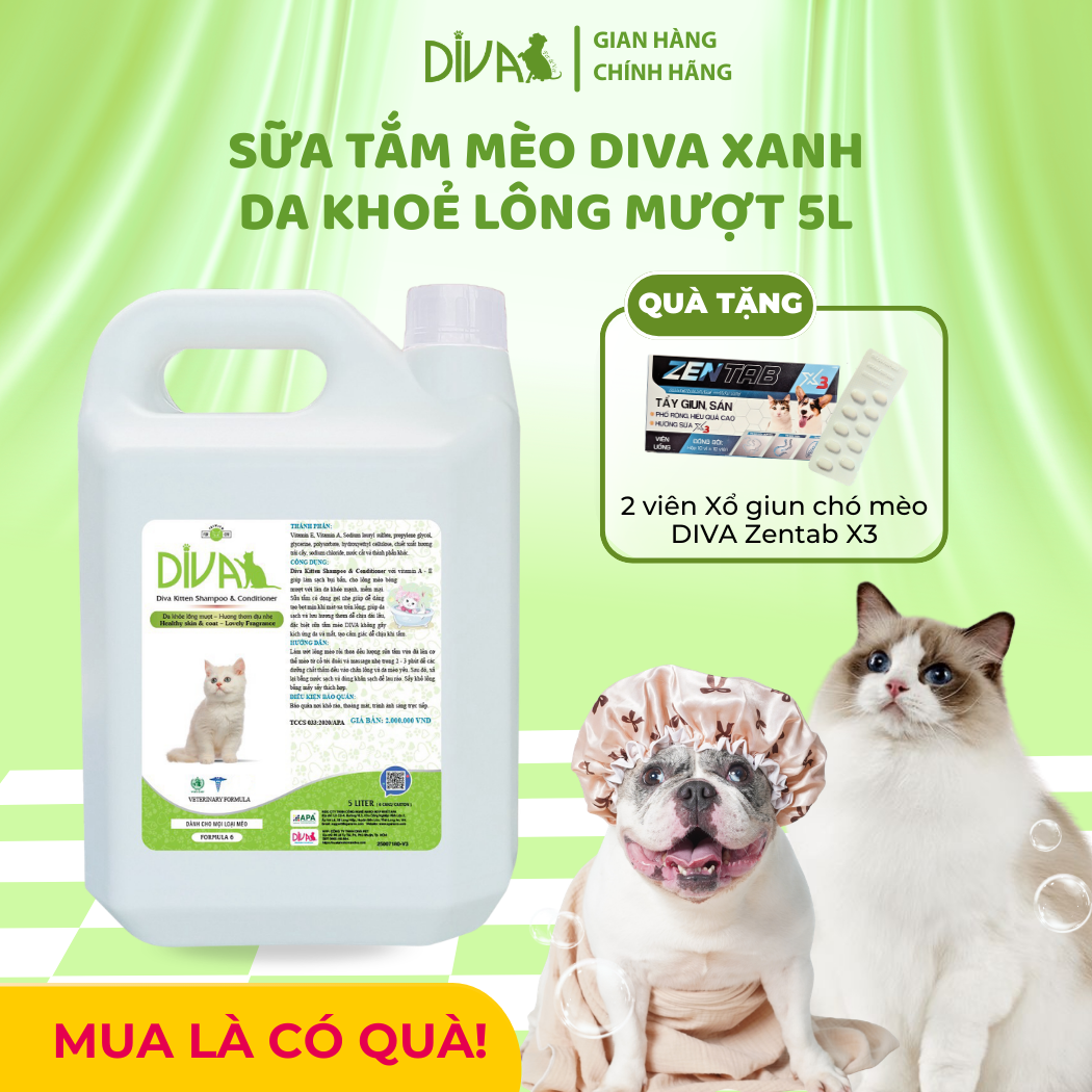  Sữa tắm mèo DIVA Kitten gel giúp da khoẻ, lông mượt 5L 