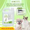  Sữa tắm mèo DIVA Kitten gel giúp da khoẻ, lông mượt 5L 