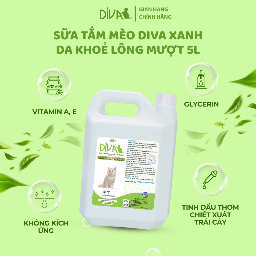  Sữa tắm mèo DIVA Kitten gel giúp da khoẻ, lông mượt 5L 
