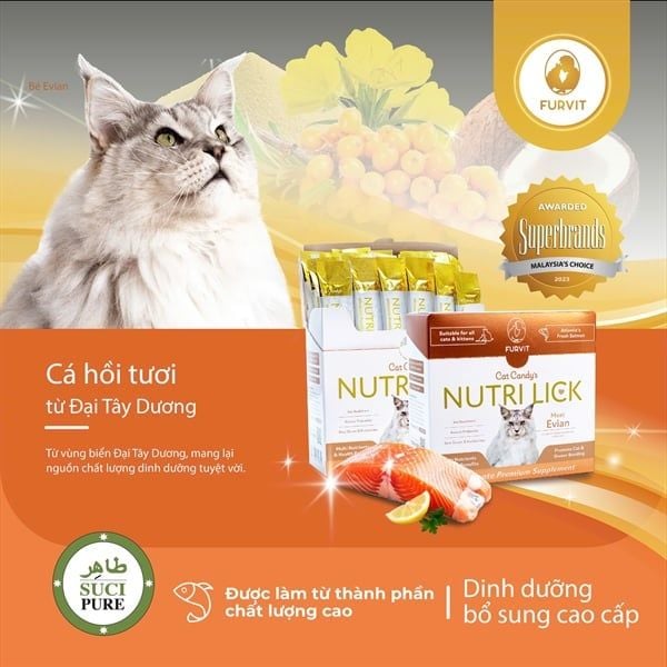  Dinh dưỡng cao cấp cho mèo Nutri Lick - Cá hồi 