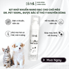  Chai xịt khử mùi Nano Bạc cho thú cưng DIVA Dr. Pet 100ml 