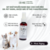  Chai xịt khử mùi Nano Bạc cho thú cưng DIVA Dr. Pet 50ml 