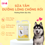  Sữa tắm chó dưỡng lông chống rối DIVA Vàng 2L 
