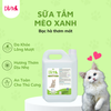  Sữa tắm mèo DIVA Kitten gel 5L 